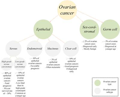 CAR-T cell immunotherapy for ovarian cancer: hushing the silent killer